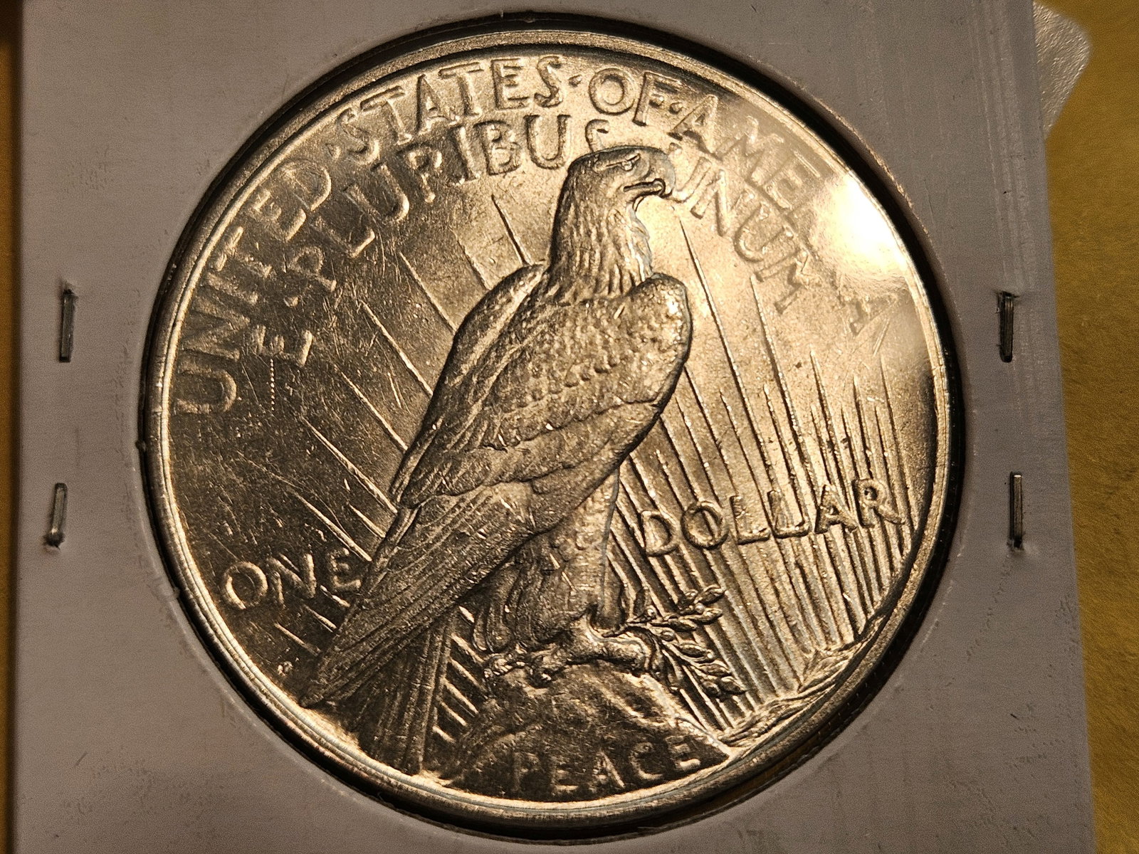 Choice Brilliant Uncirculated plus 1923-D Peace Silver Dollar - 5