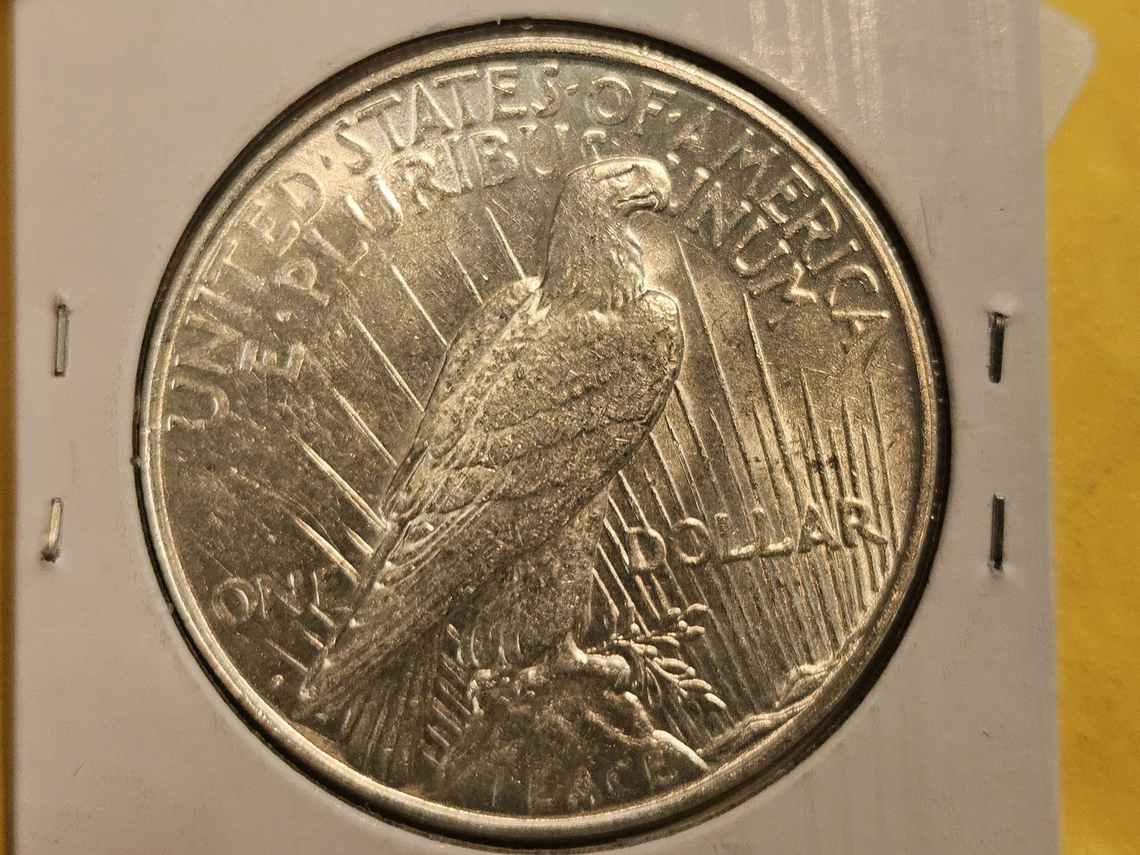 Choice Brilliant Uncirculated plus 1923-D Peace Silver Dollar - 6
