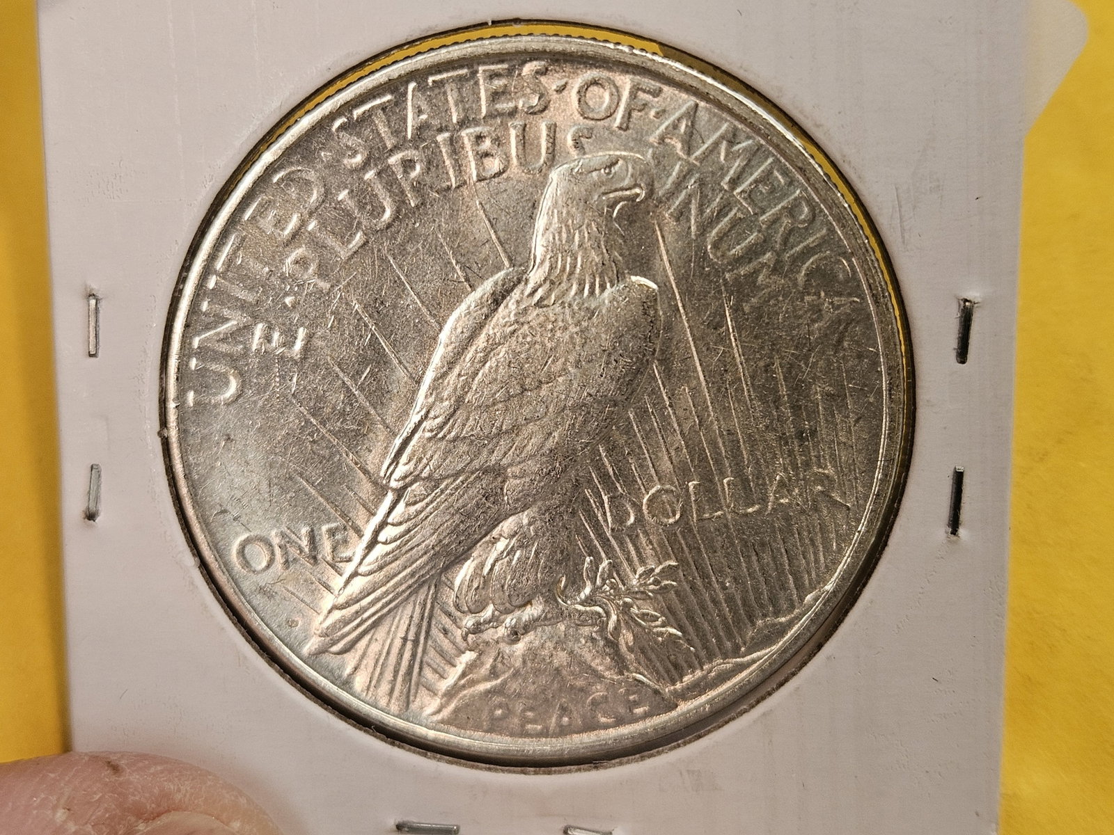 Choice Brilliant Uncirculated plus 1923-D Peace Silver Dollar - 7
