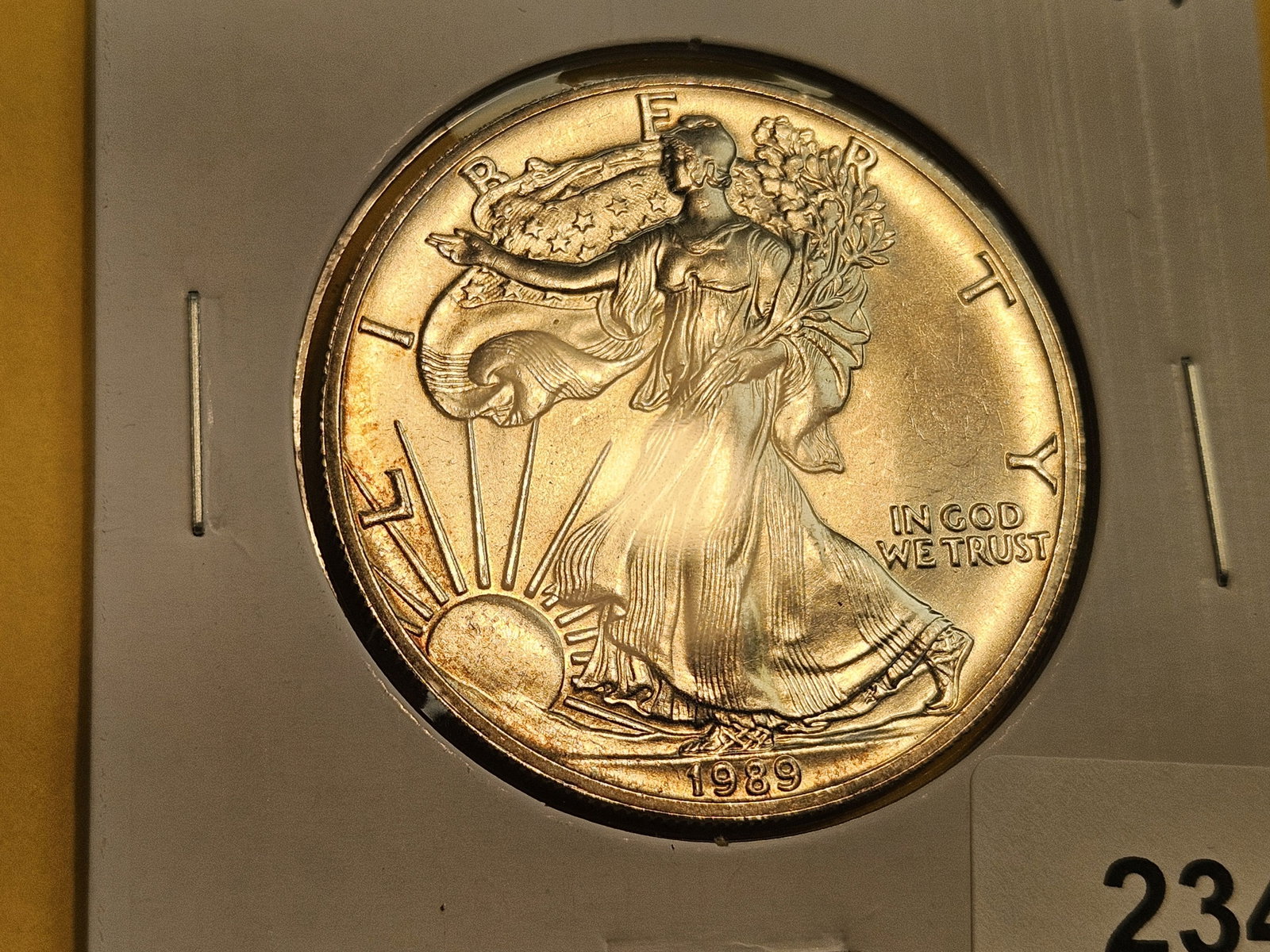 GEM Brilliant Uncirculated 1989 American Silver Eagle - 2