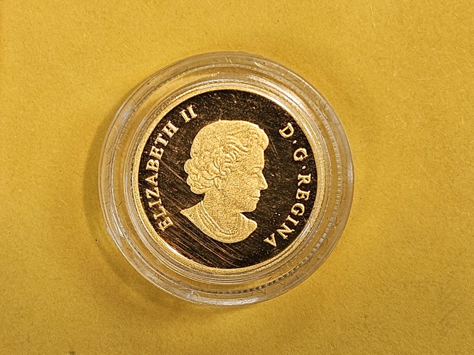 GOLD! GEM 2013 Canada Gold Five Dollar Polar Bear: KM 1401. One-tenth troy ounce .9999 fine gold!