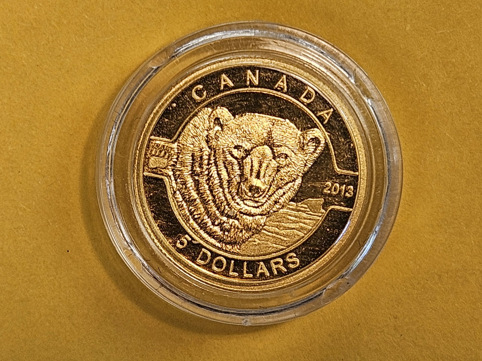 GOLD! GEM 2013 Canada Gold Five Dollar Polar Bear - 3