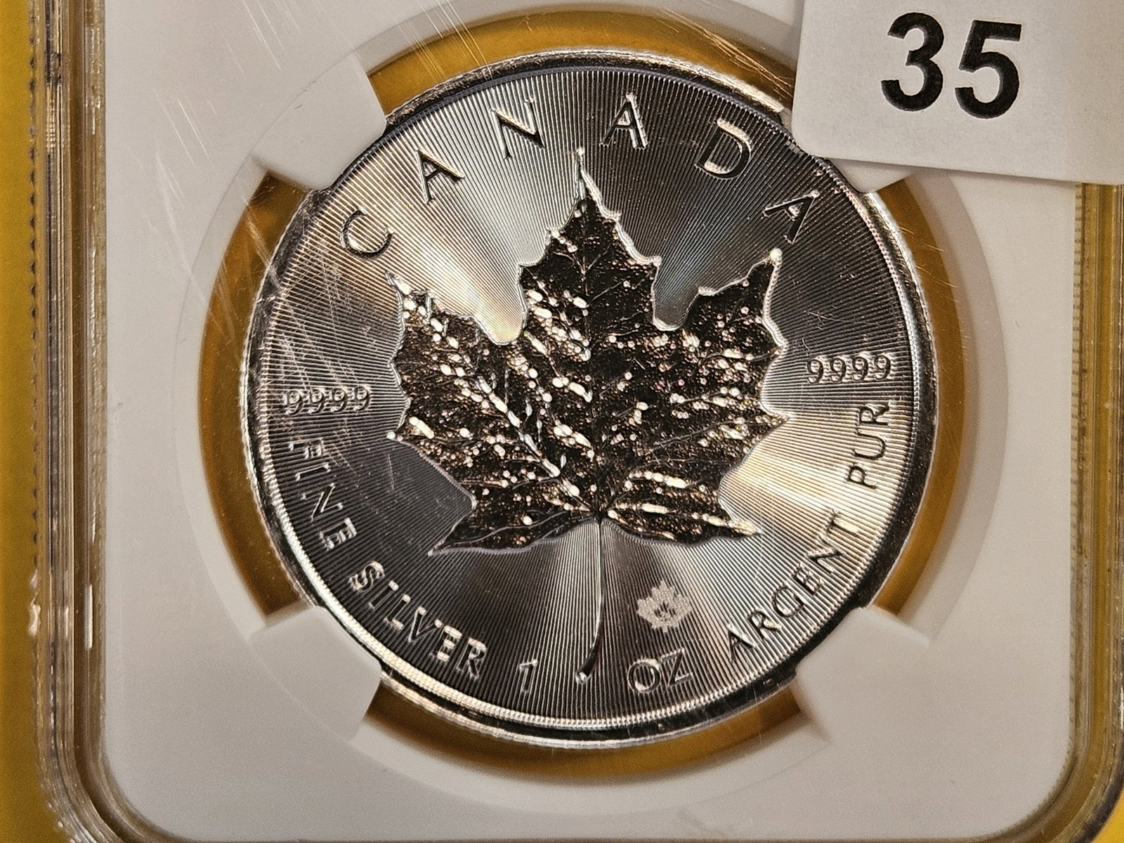 PERFECT! NGC 2024 Canada silver 5 dollars in Mint State 70: Perfect Grade
