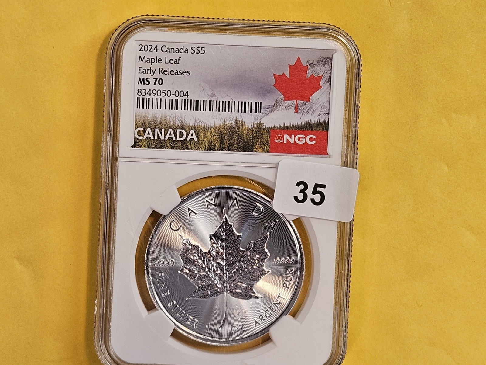 PERFECT! NGC 2024 Canada silver 5 dollars in Mint State 70 - 2
