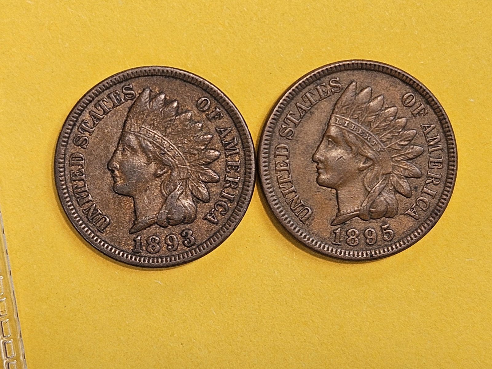 1893 and 1895 Indian Cents - 3