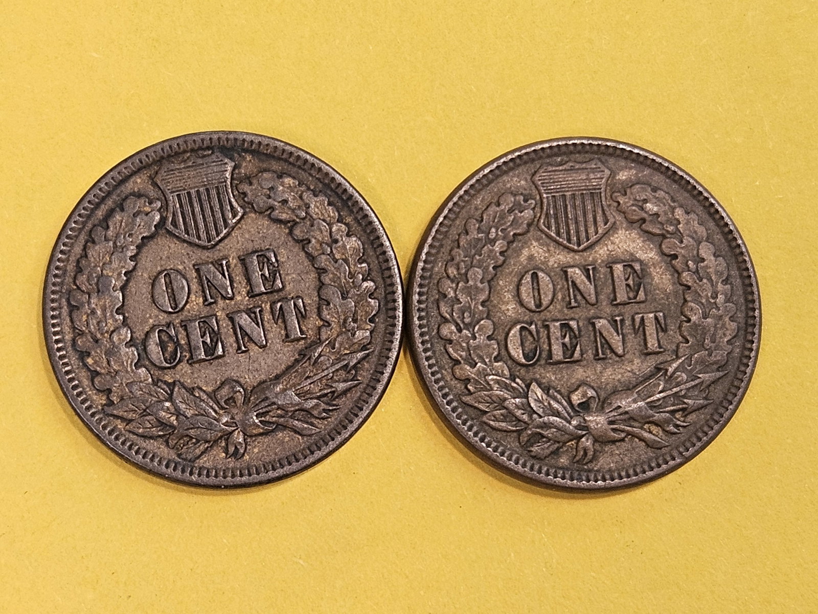 1893 and 1895 Indian Cents - 4