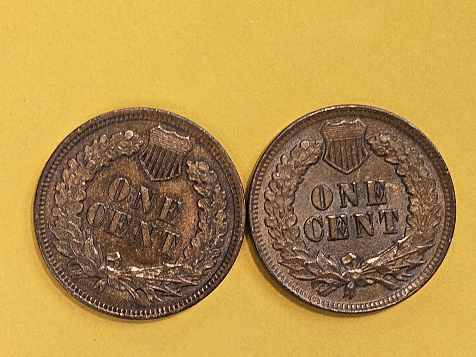 Two Very Choice Brown Uncirculated Indian Cents - 10