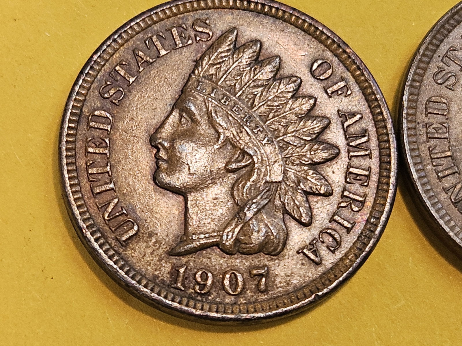 Two Very Choice Brown Uncirculated Indian Cents - 3