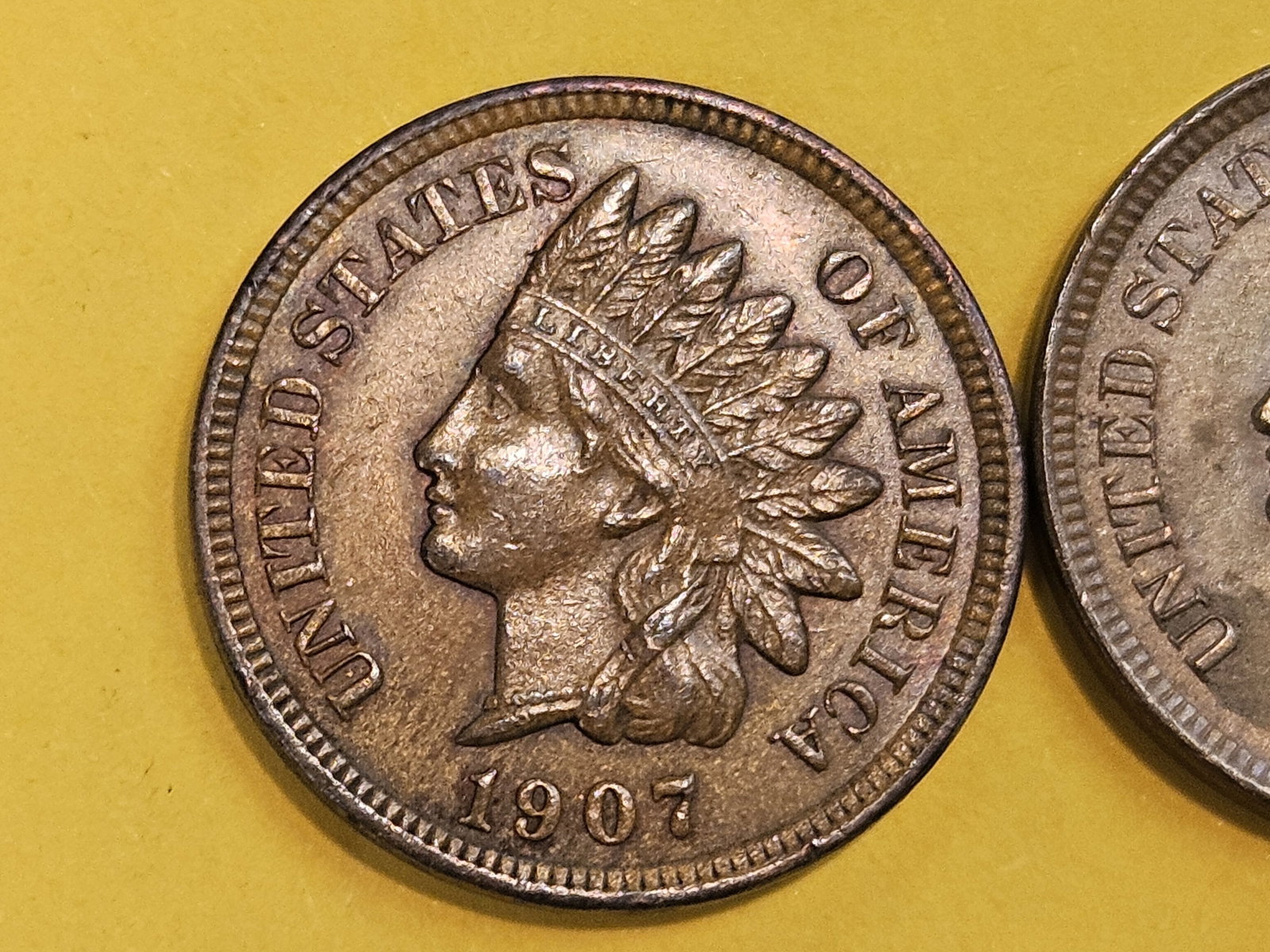 Two Very Choice Brown Uncirculated Indian Cents - 4