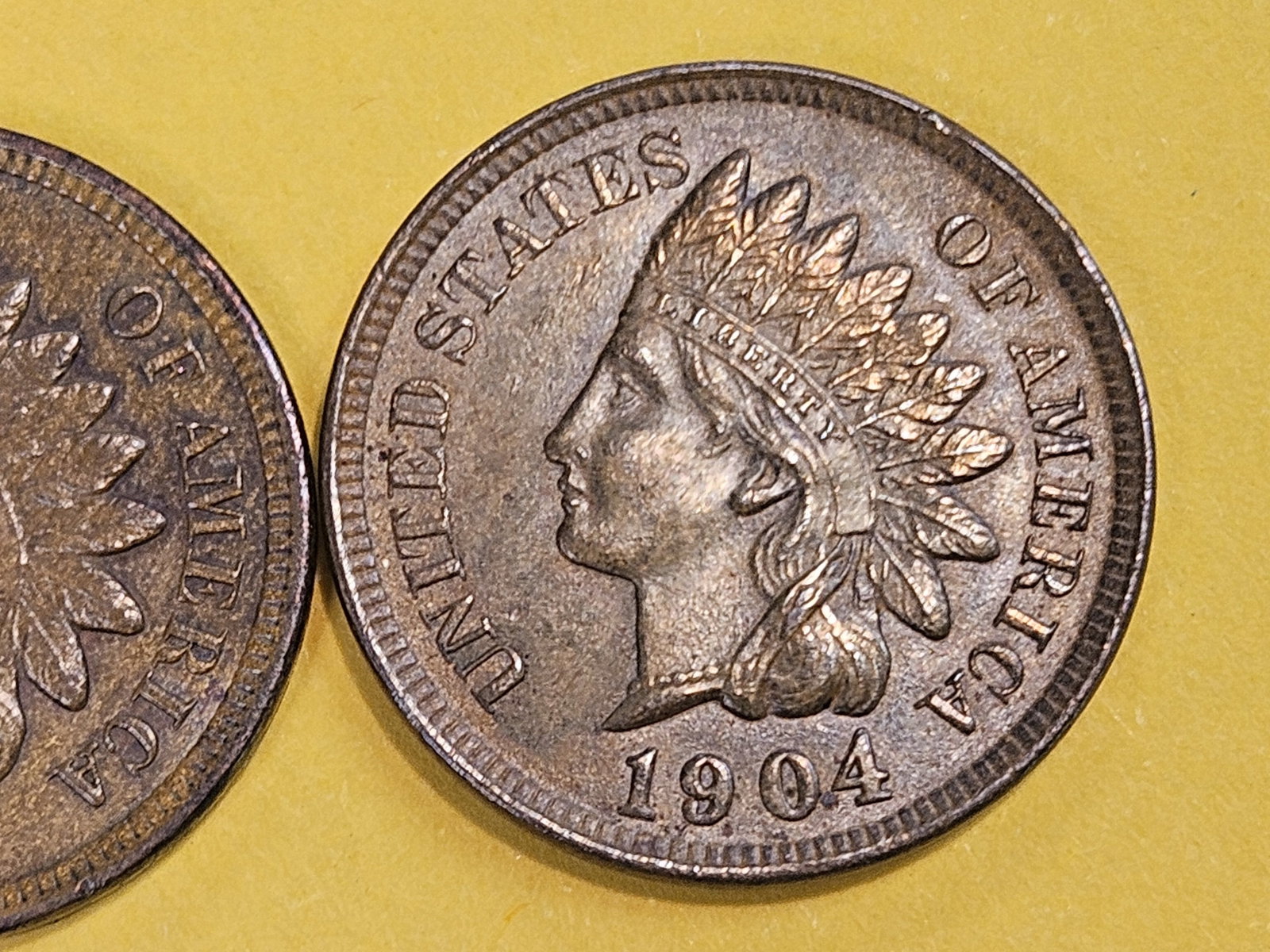 Two Very Choice Brown Uncirculated Indian Cents - 7