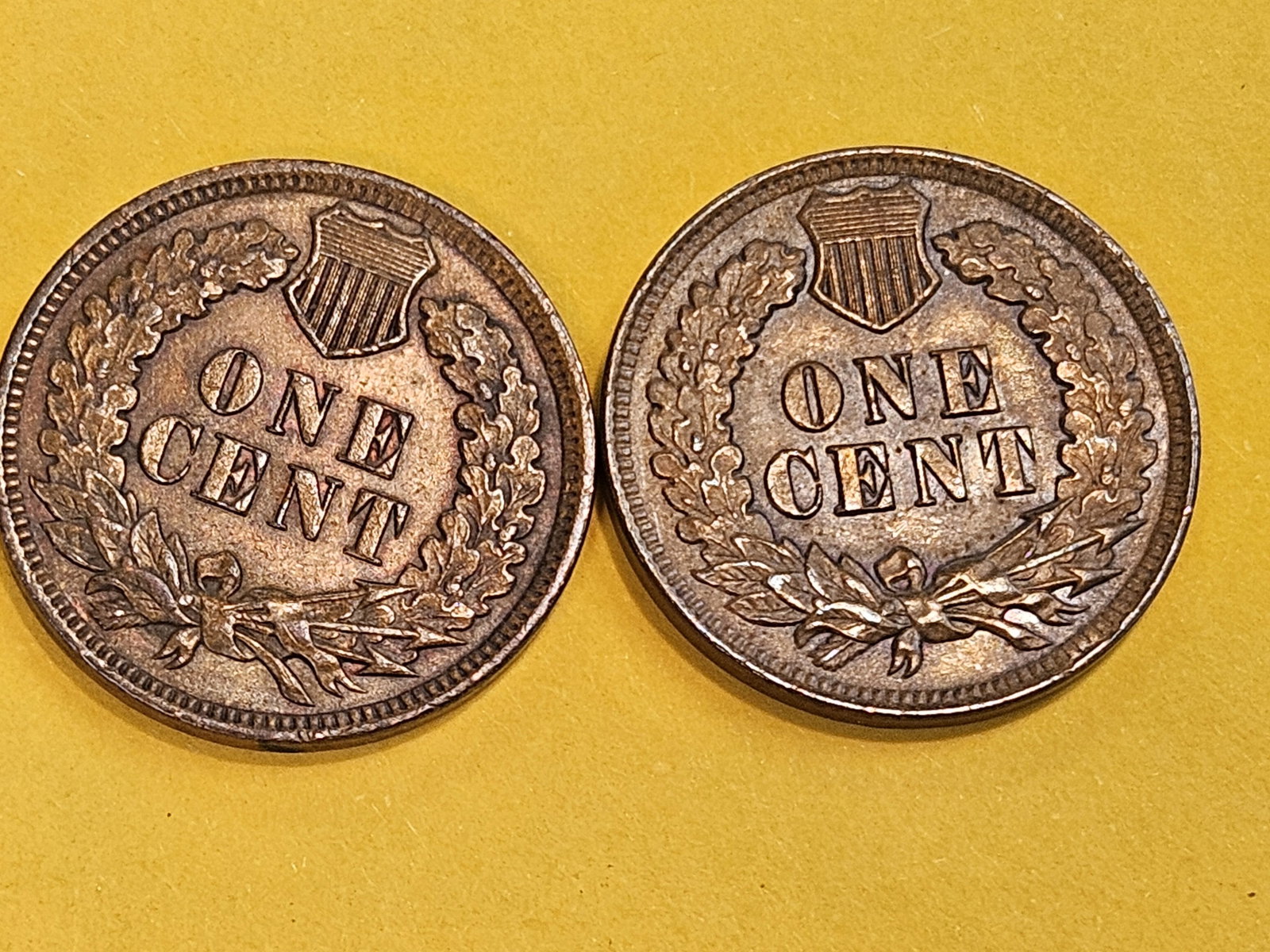 Two Very Choice Brown Uncirculated Indian Cents - 9
