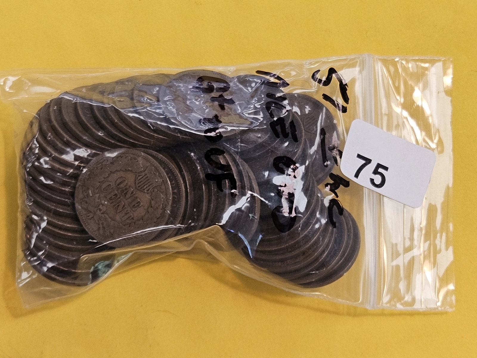 Fifty-one Indian Cents: All in Good plus to Very Fine