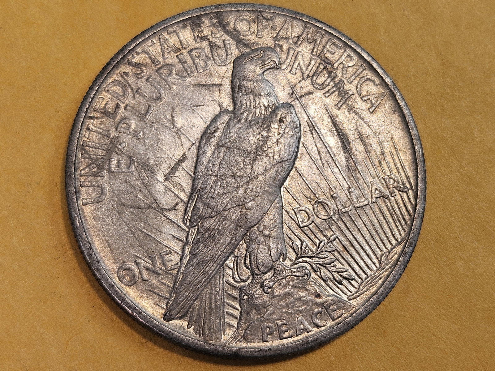 ** KEY DATE ** 1921 Peace silver Dollar in About Uncirculated - 7