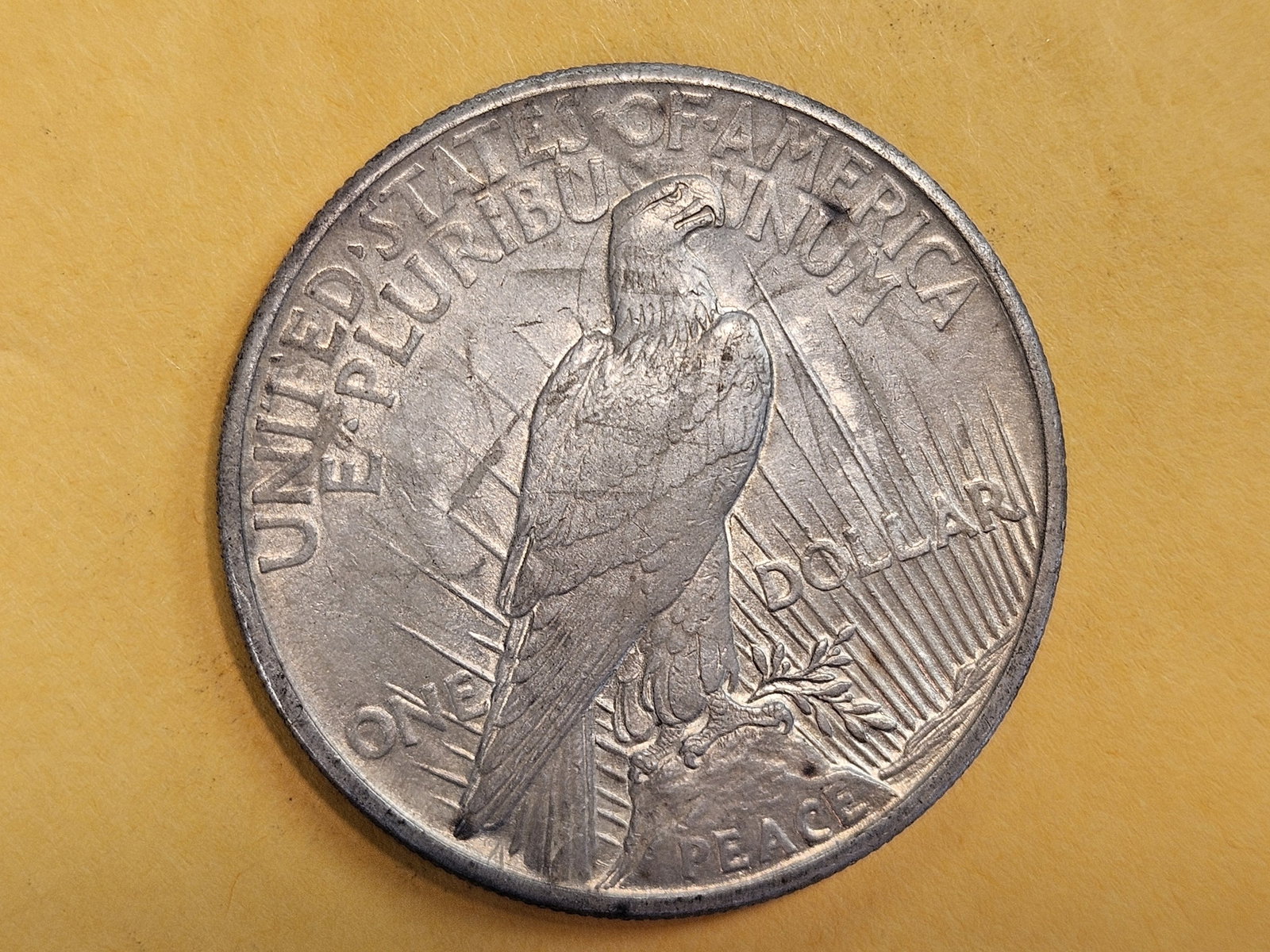 ** KEY DATE ** 1921 Peace silver Dollar in About Uncirculated - 8