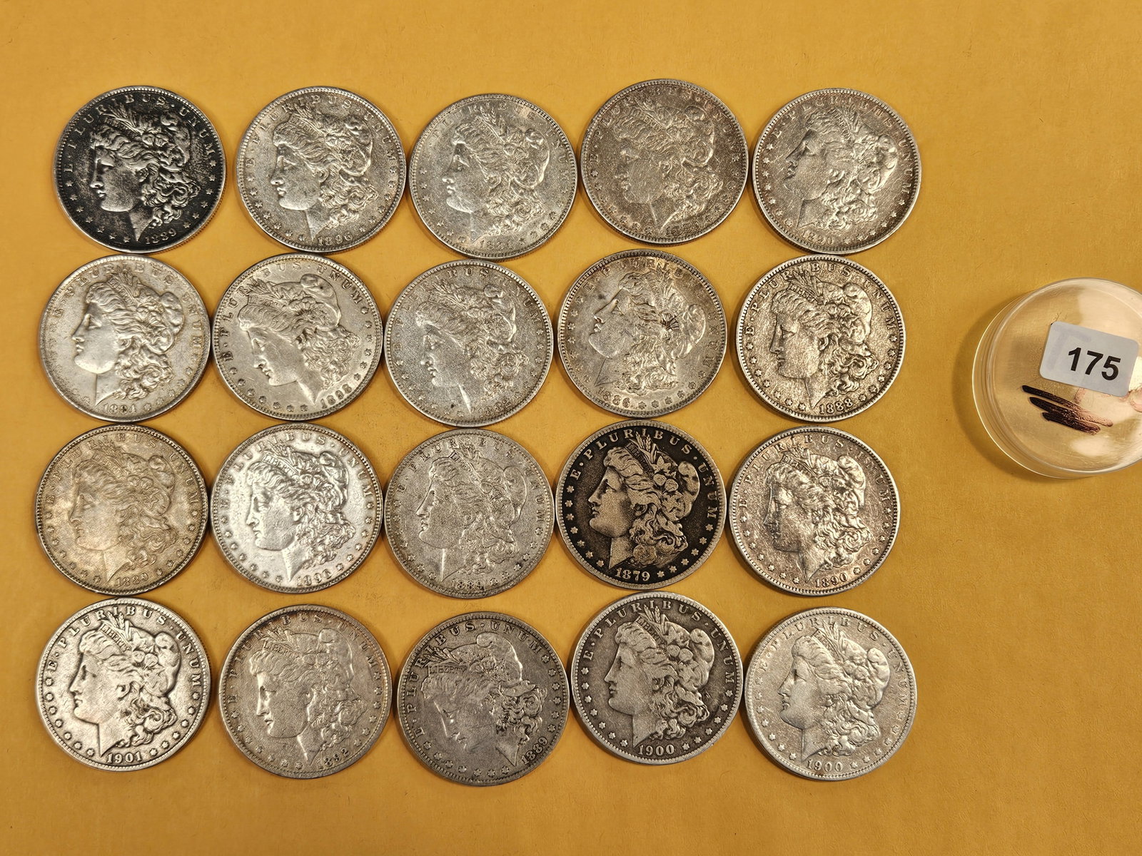 ** FULL ROLL ** Twenty Morgan Silver Dollars (1 of 6)