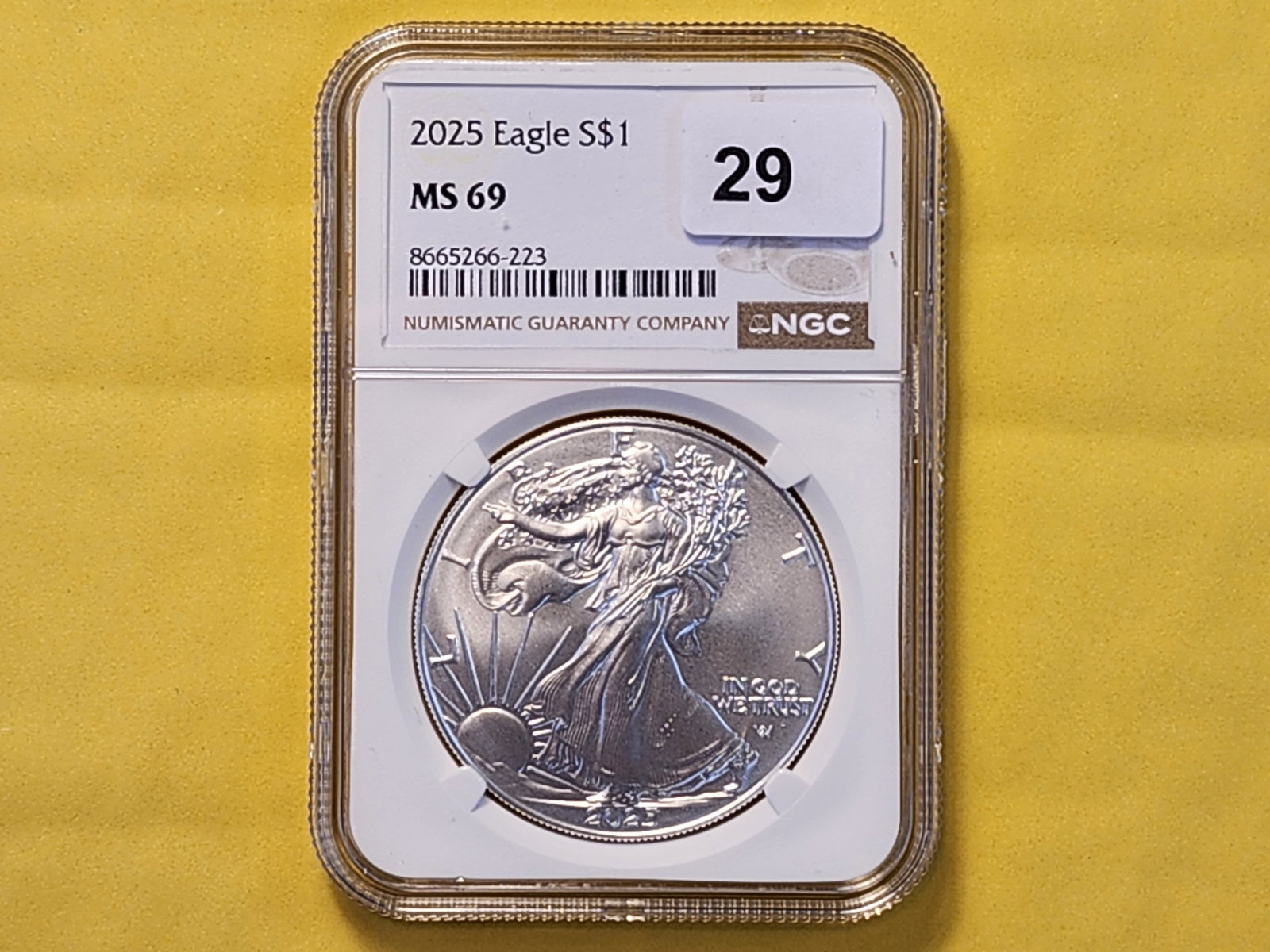SUPERB GEM! NGC 2025 American Silver Eagle in Mint State 69 - 2