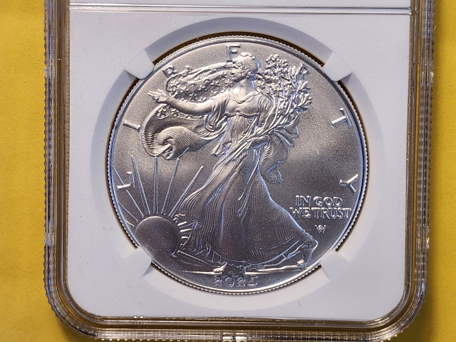 SUPERB GEM! NGC 2025 American Silver Eagle in Mint State 69: Almost perfect!