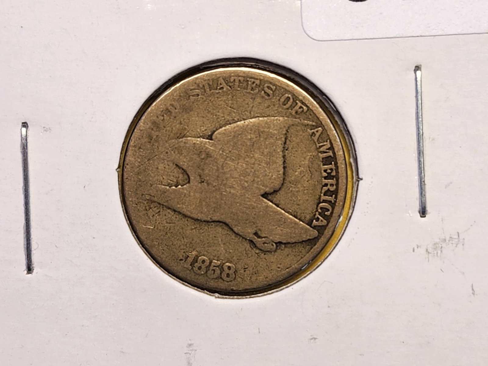 Two Flying Eagle Cents - 3