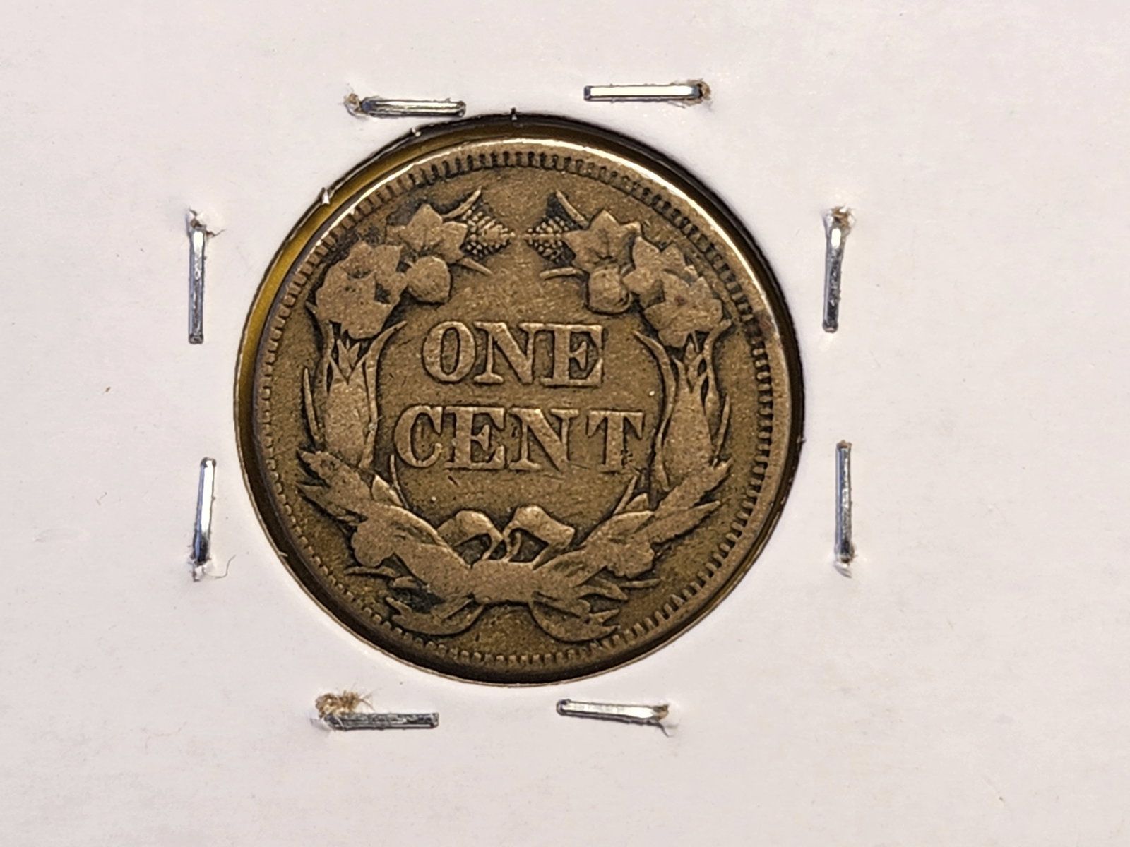 Two Flying Eagle Cents - 4