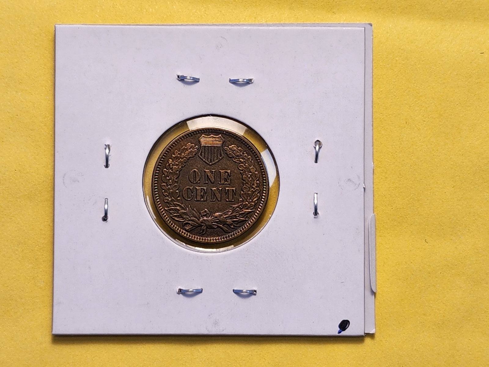Brilliant Uncirculated 1905 Indian Head Cent - 3
