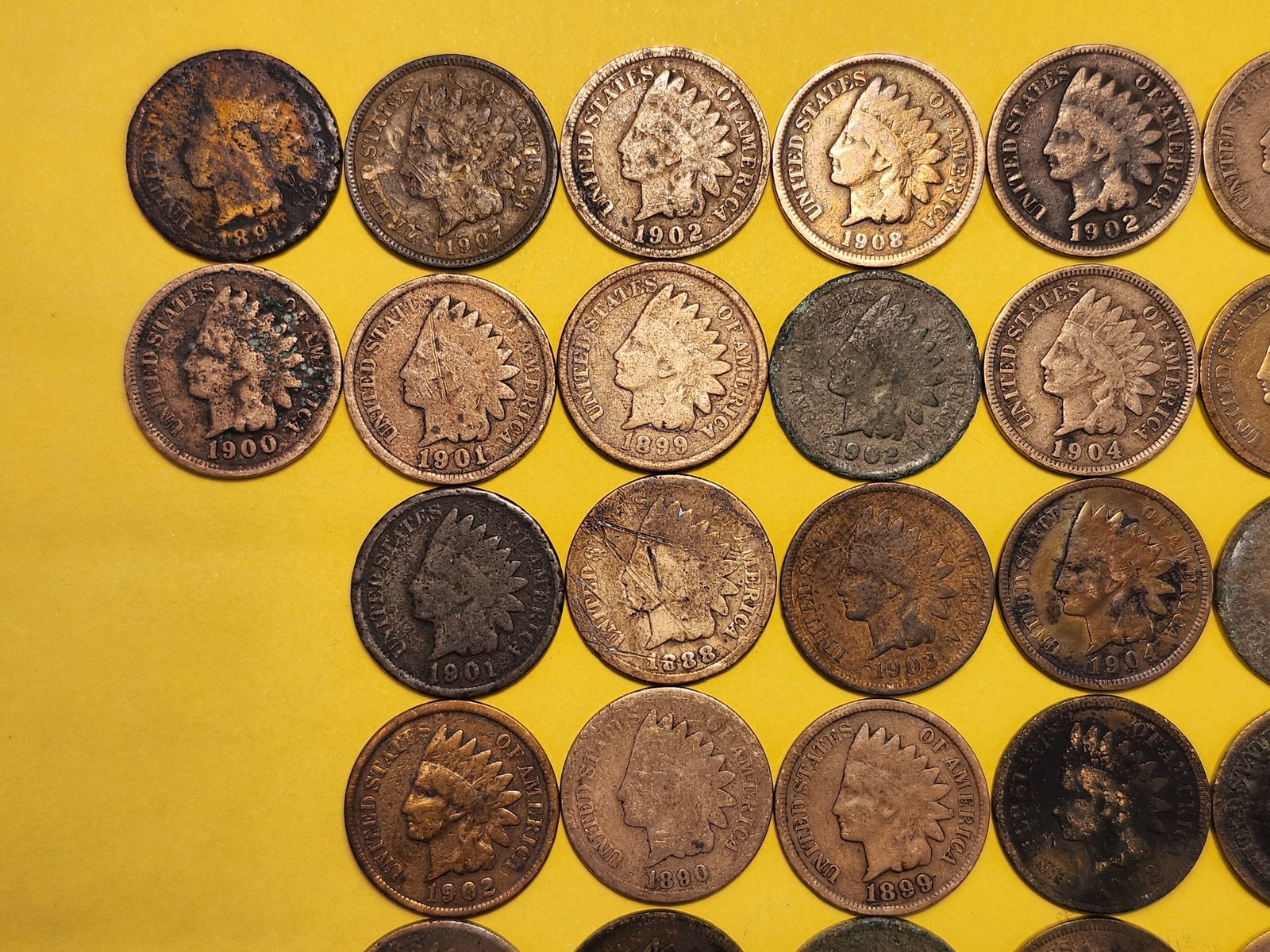 Fifty Indian Head Cents - 2