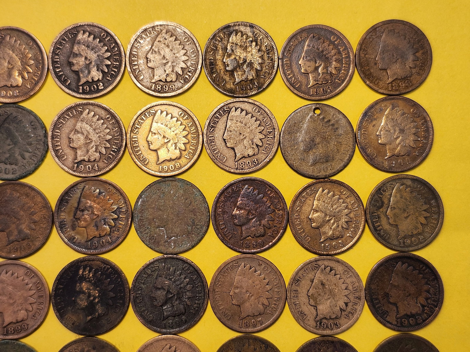 Fifty Indian Head Cents - 3