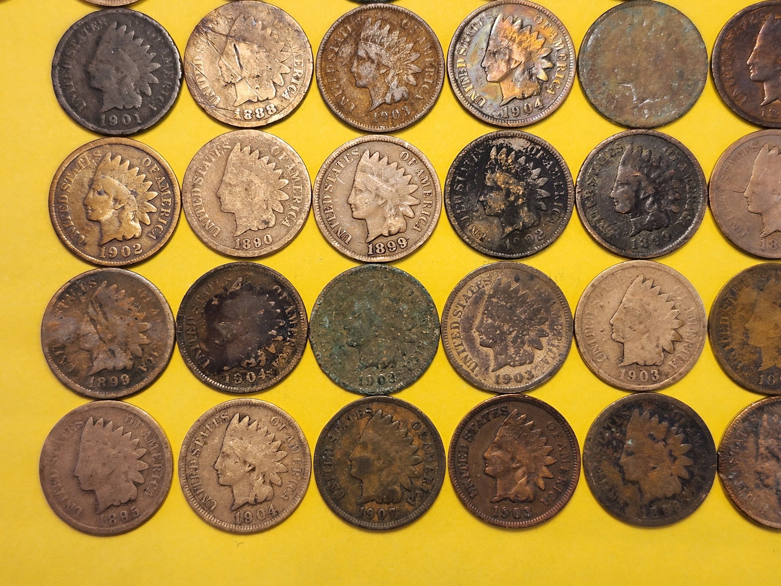 Fifty Indian Head Cents - 4