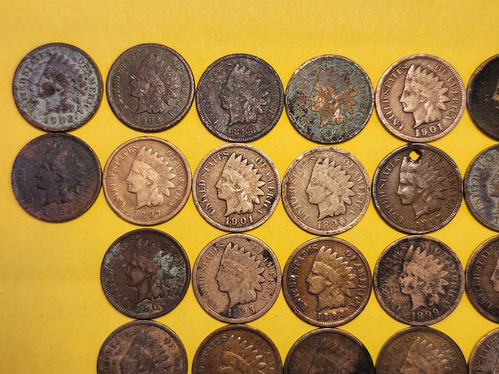 Fifty Indian Head Cents - 2