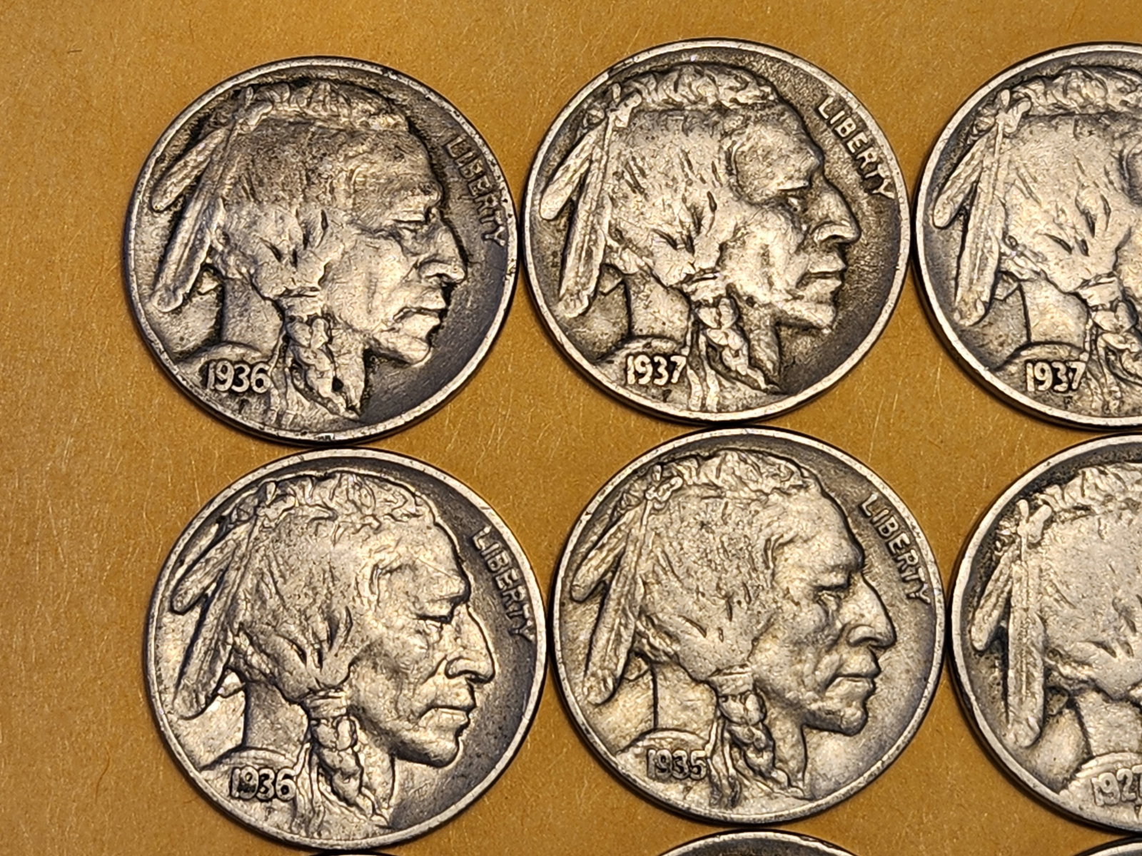 Twelve Buffalo Nickels - 2