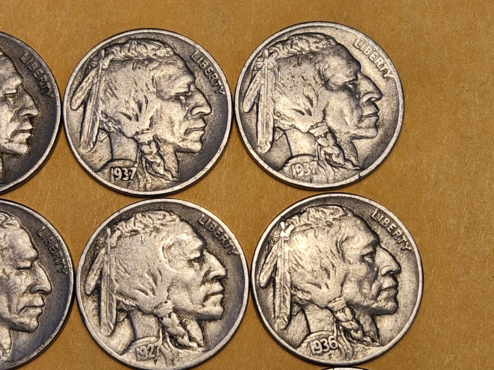 Twelve Buffalo Nickels - 3