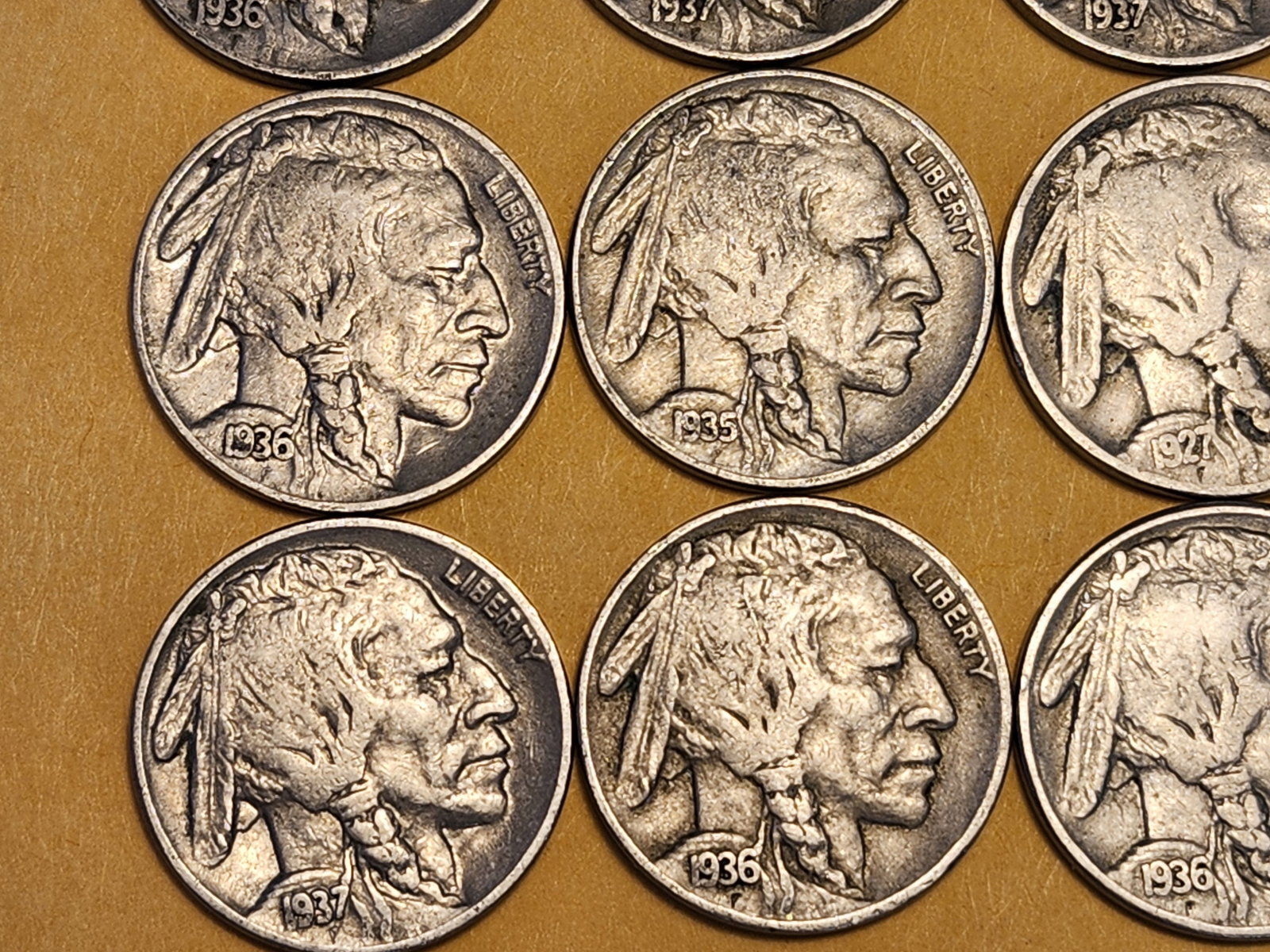 Twelve Buffalo Nickels - 4