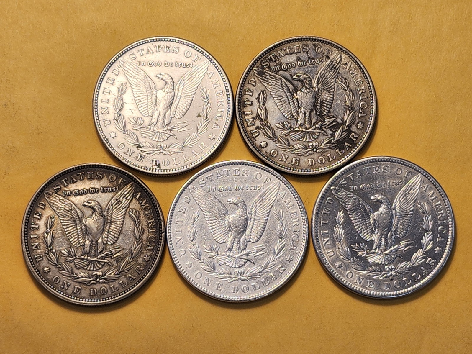Five About Uncirculated Morgan Silver Dollars - 5