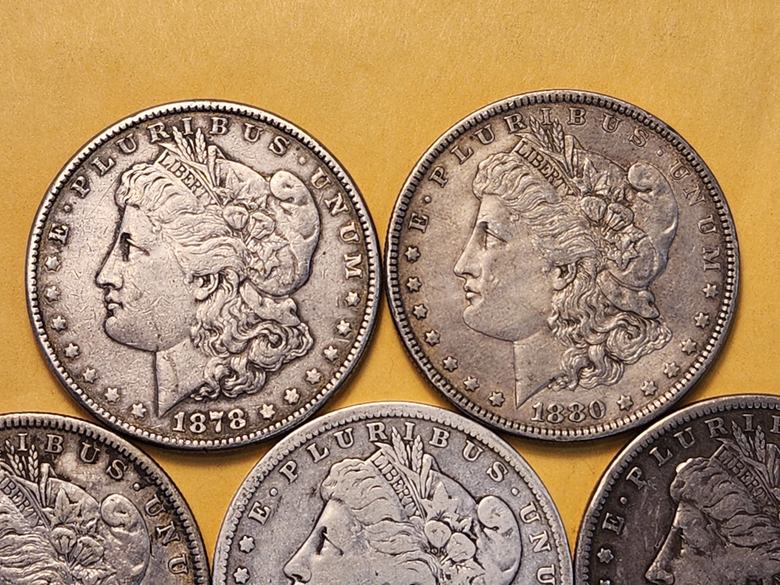 Five Morgan Silver Dollars - 2