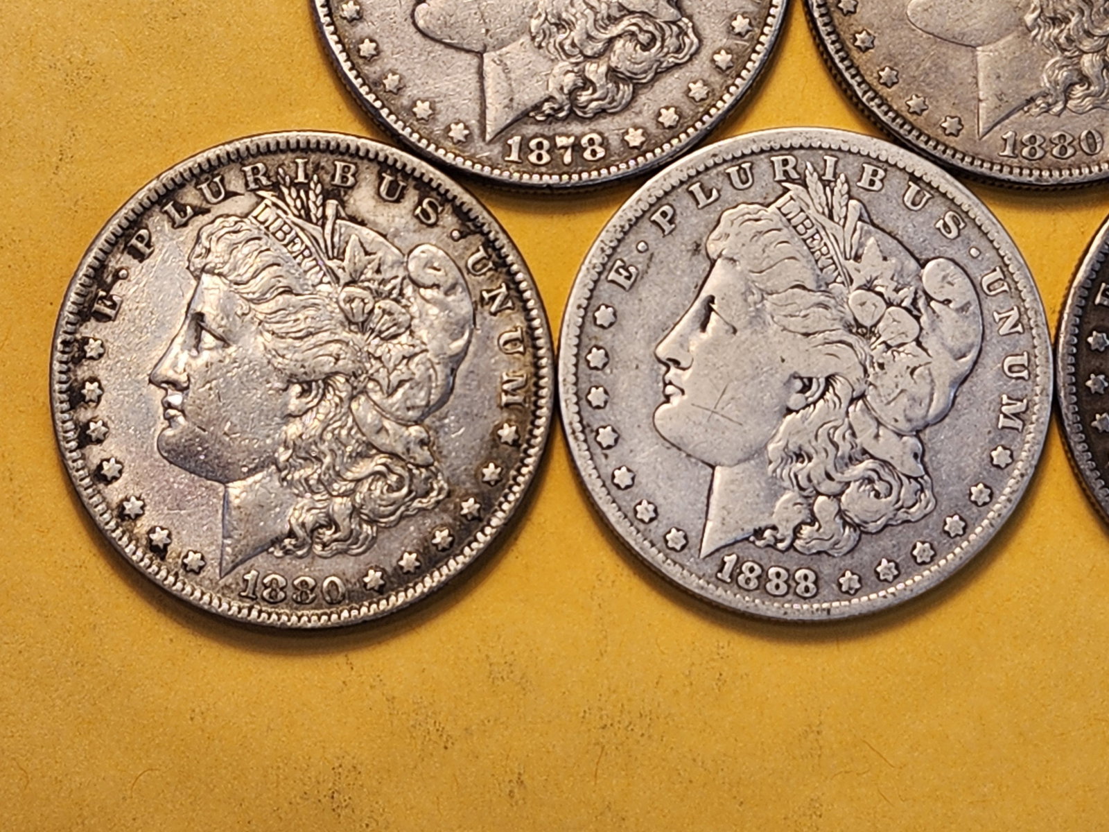 Five Morgan Silver Dollars - 3