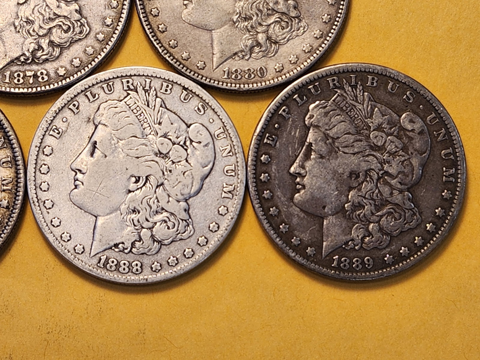 Five Morgan Silver Dollars - 4