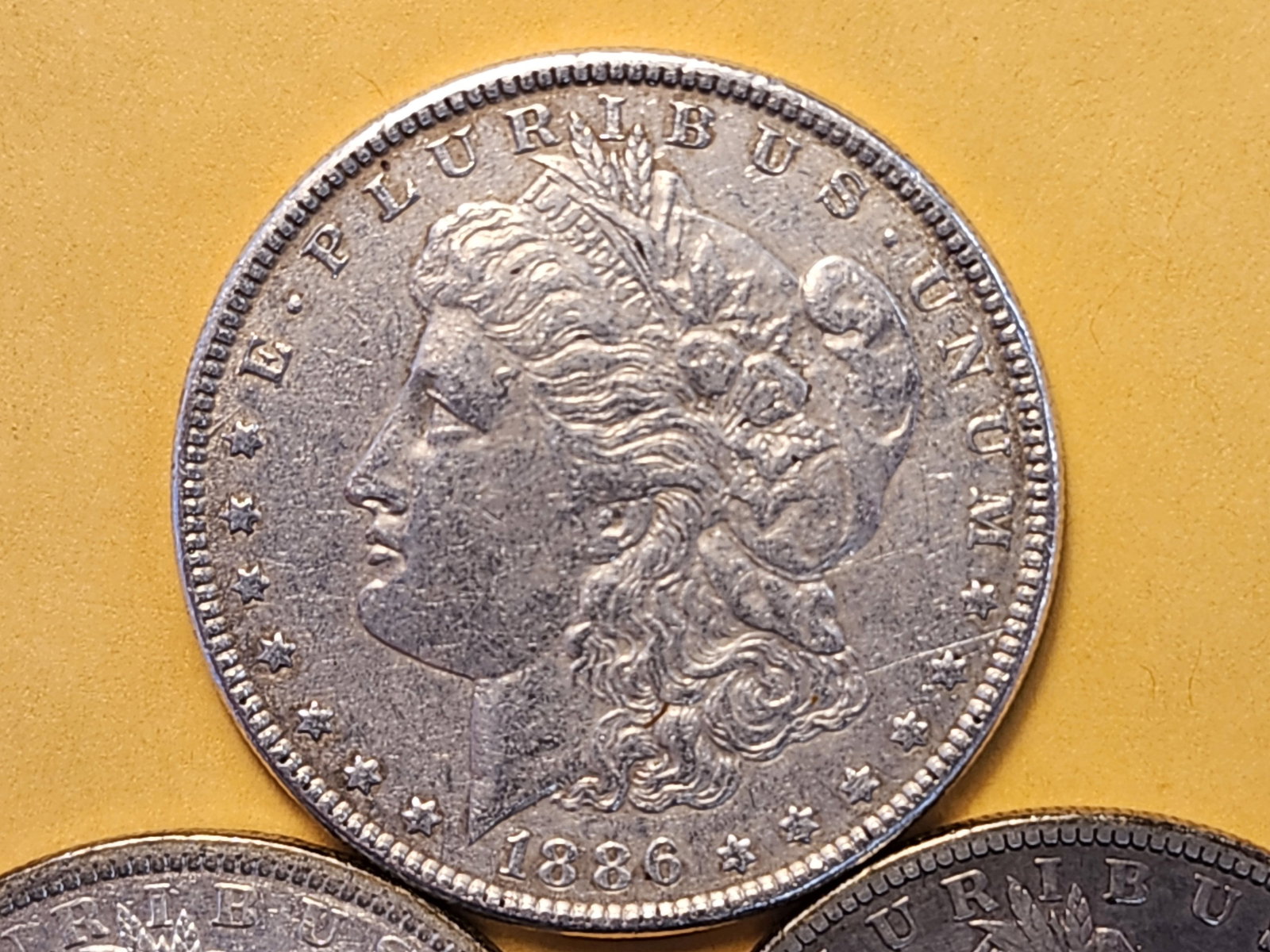 Three Morgan Silver Dollars - 2