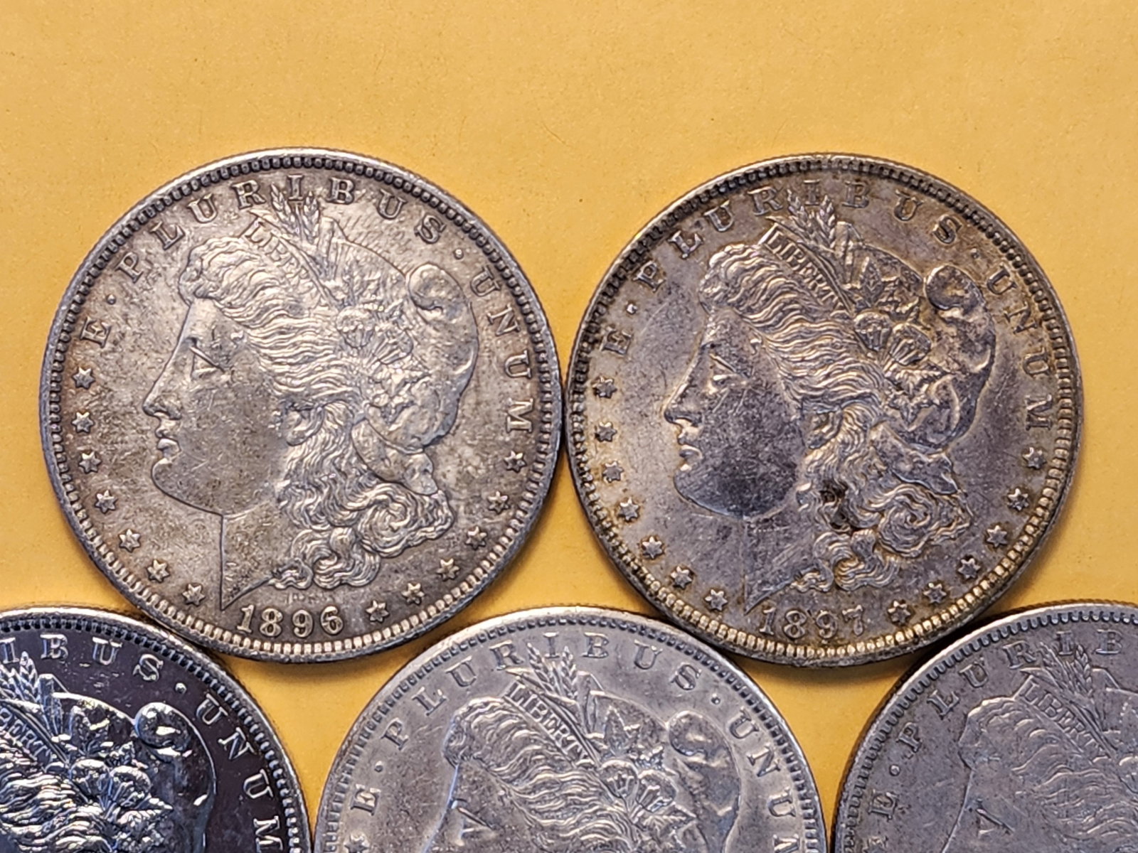Five About Uncirculated Morgan Silver Dollars - 2