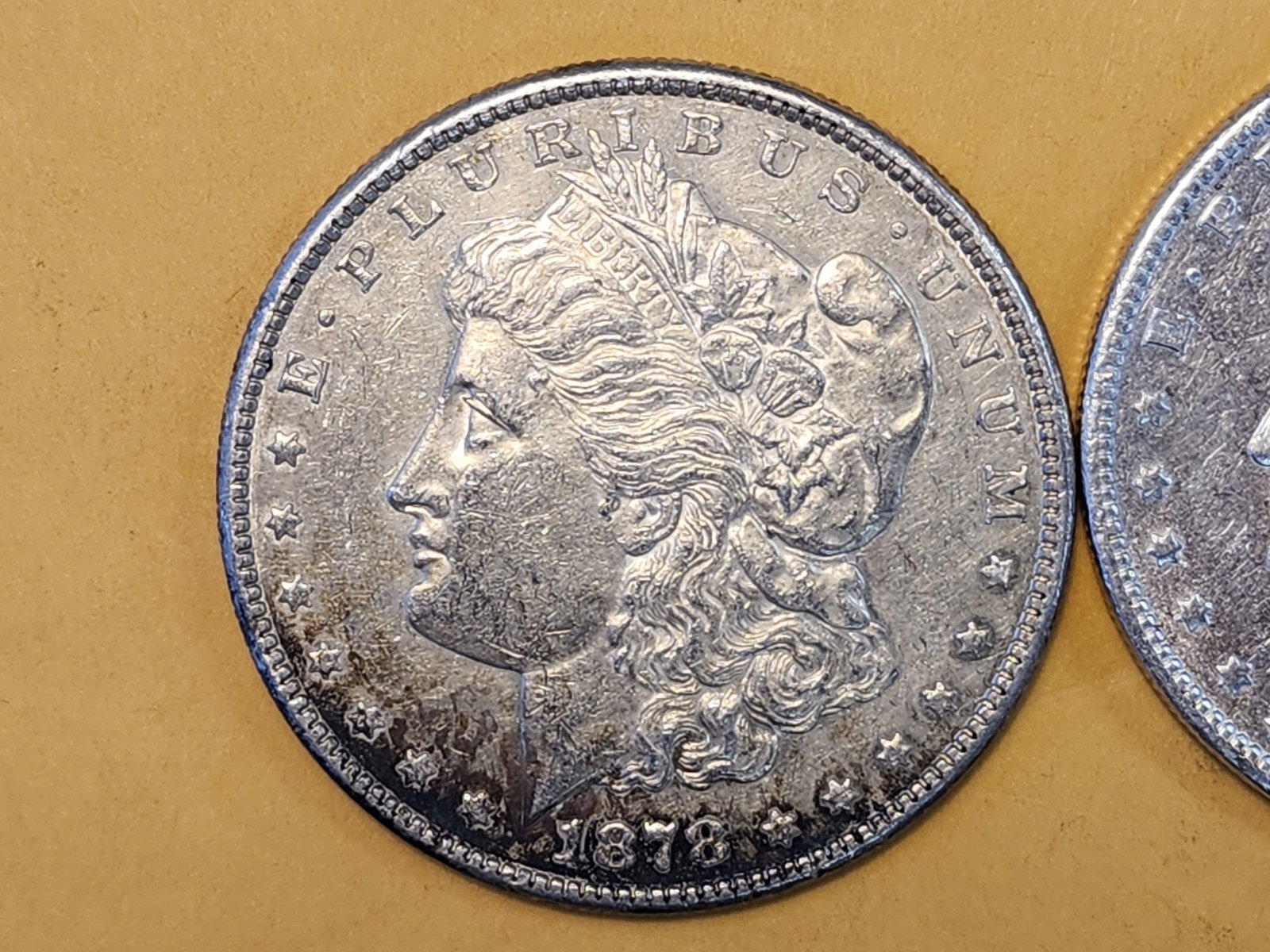 Two About Uncirculated Morgan Silver Dollars - 2