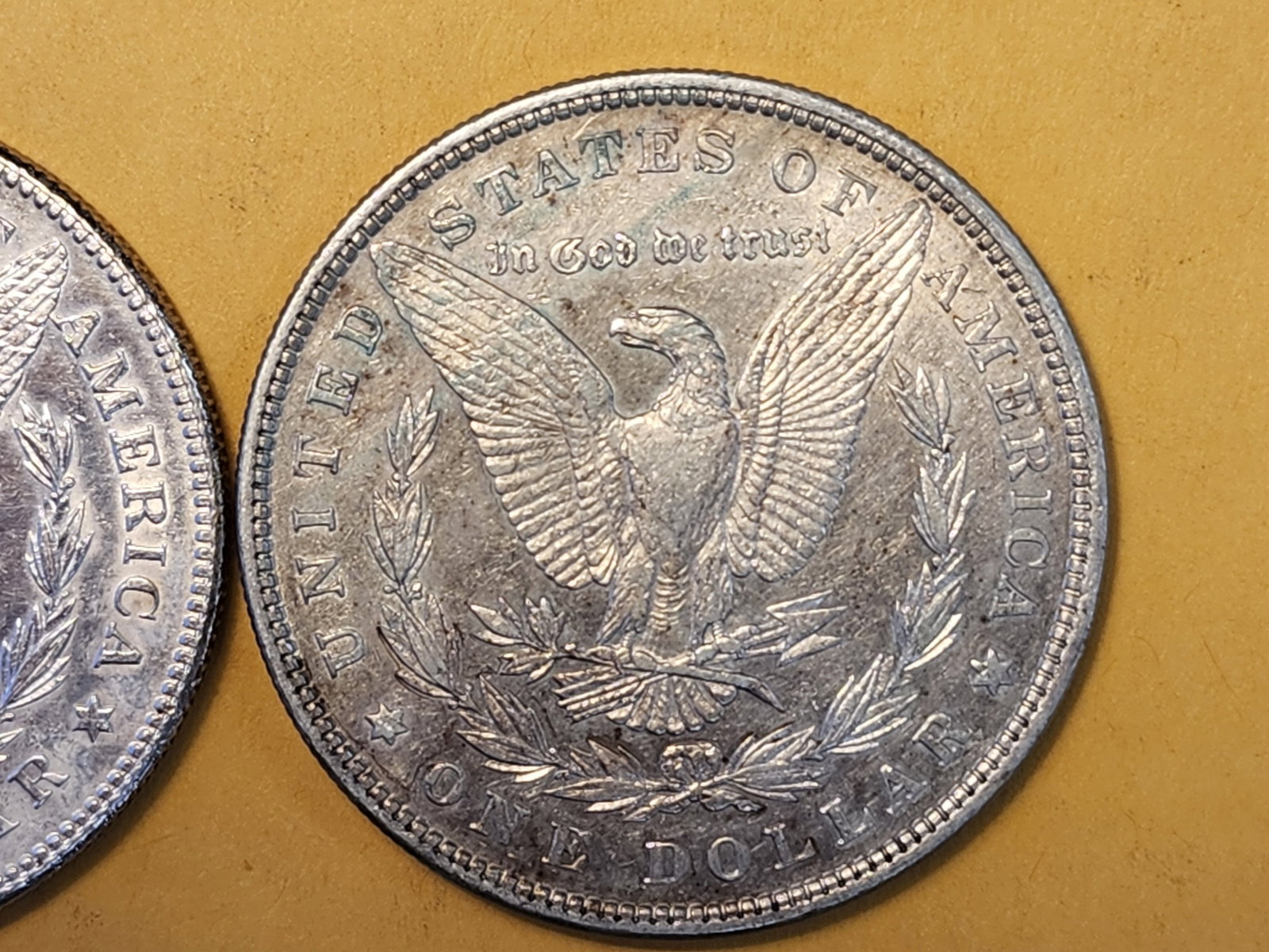 Two About Uncirculated Morgan Silver Dollars - 5
