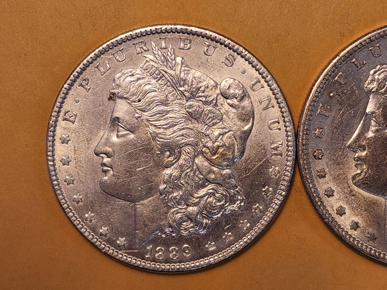 Two Brilliant About Uncirculated Morgan Silver Dollars - 2