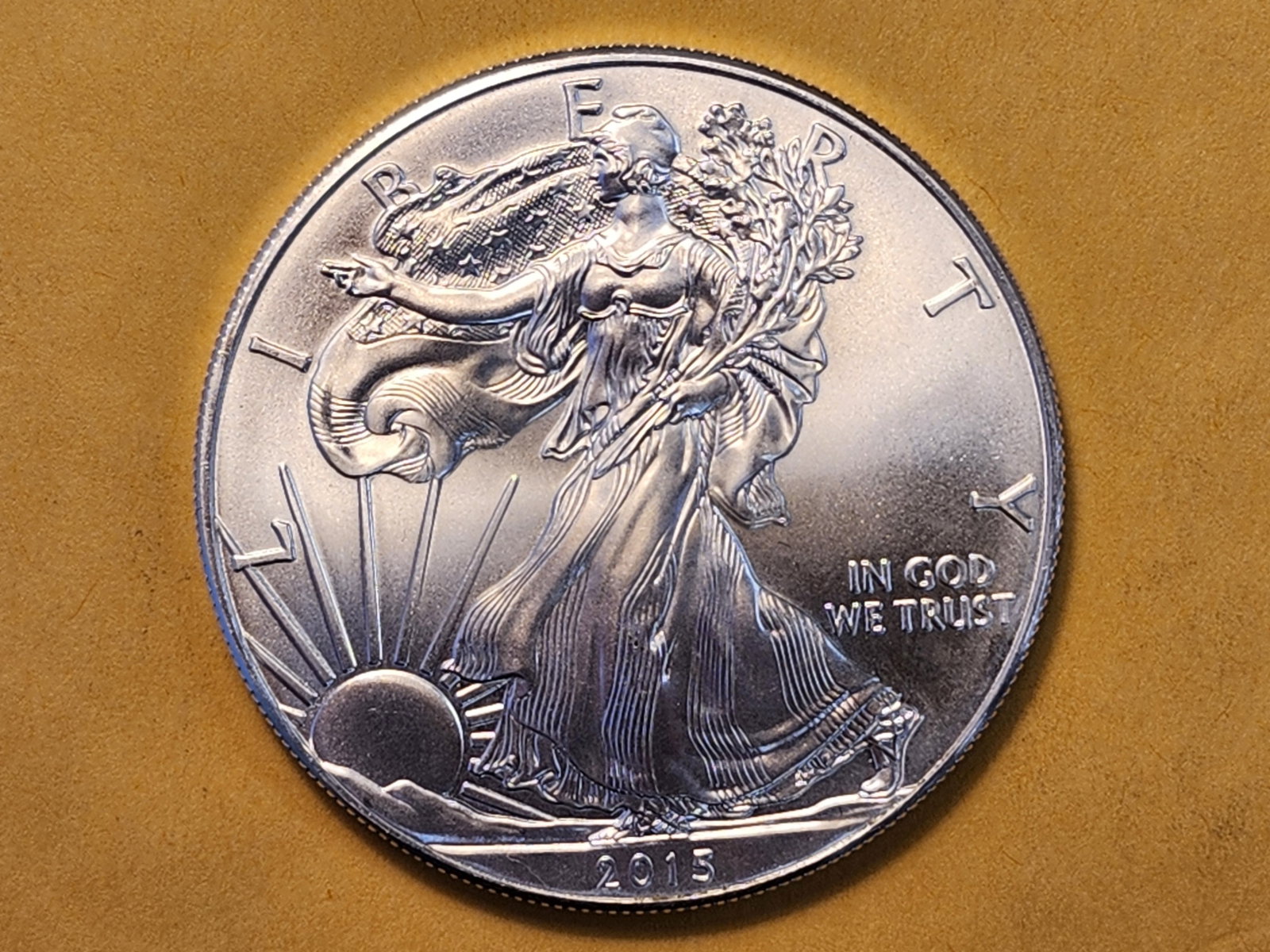 GEM Brilliant Uncirculated 2015 American Silver Eagle (1 of 4)