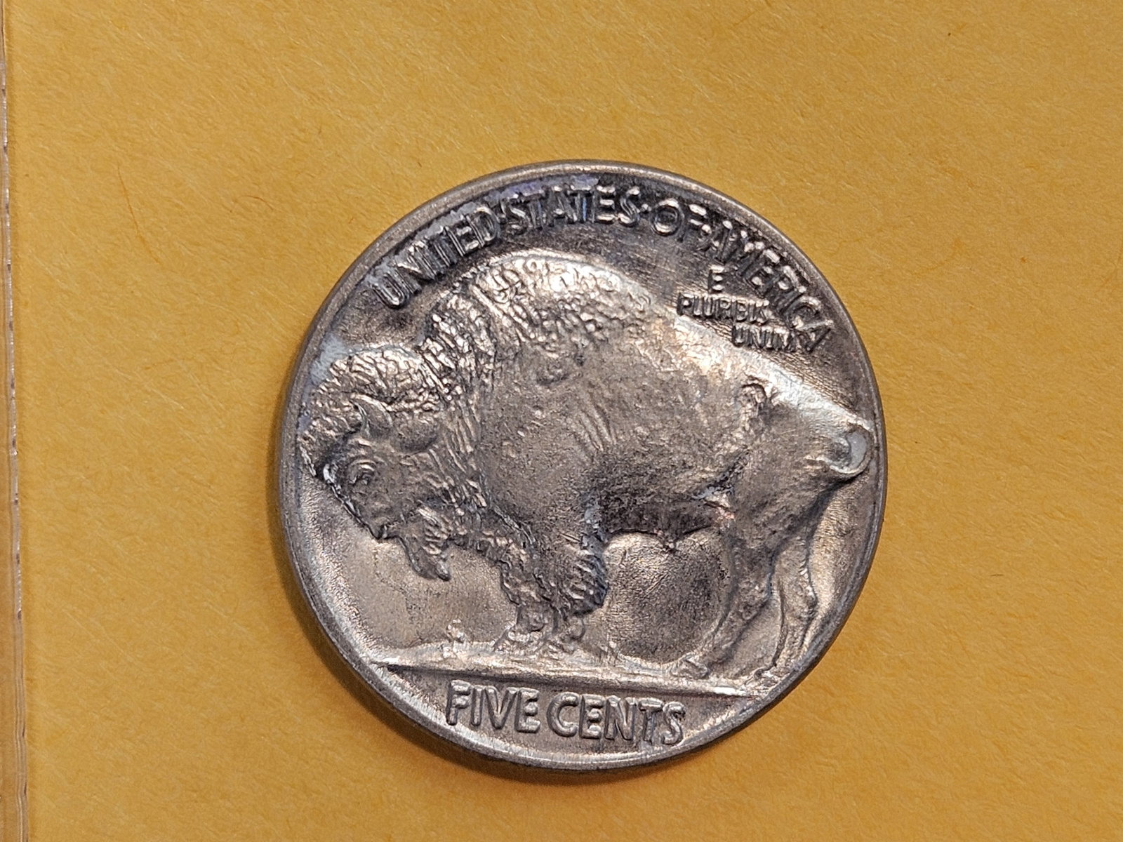 GEM Brilliant Uncirculated 1934 Buffalo Nickel - 8