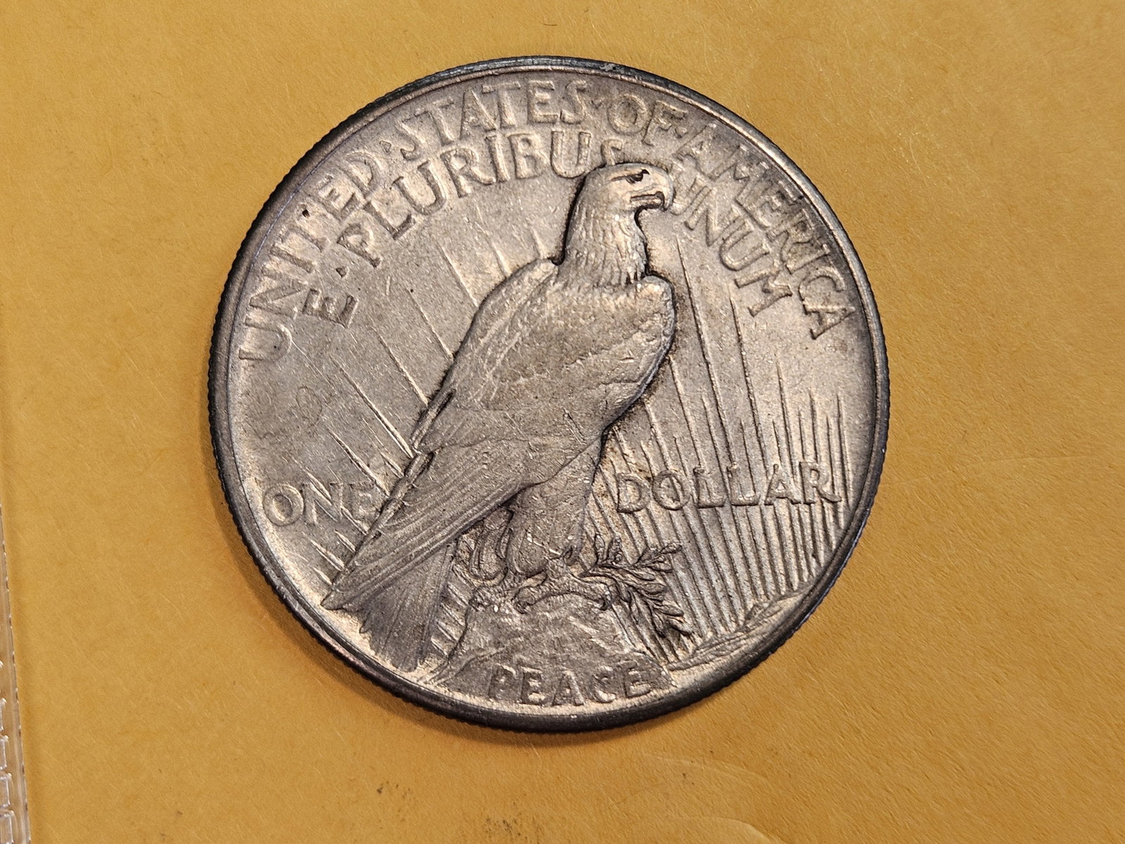 ** KEY DATE ** 1921 Peace Silver Dollar in About Uncirculated - 55 - 3
