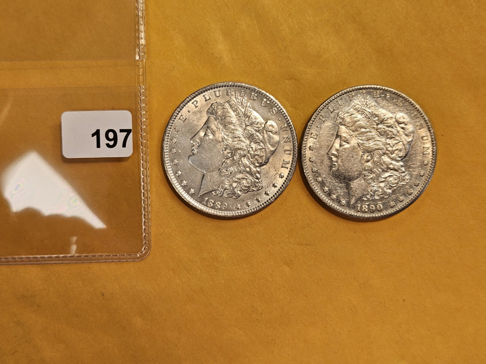 Two Brilliant About Uncirculated Morgan silver Dollars - 2