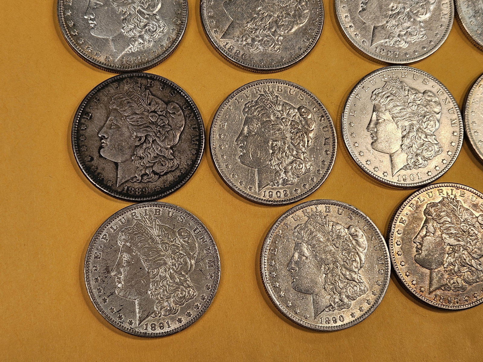 ** FULL ROLL ** Twenty Morgan Silver Dollars - 5