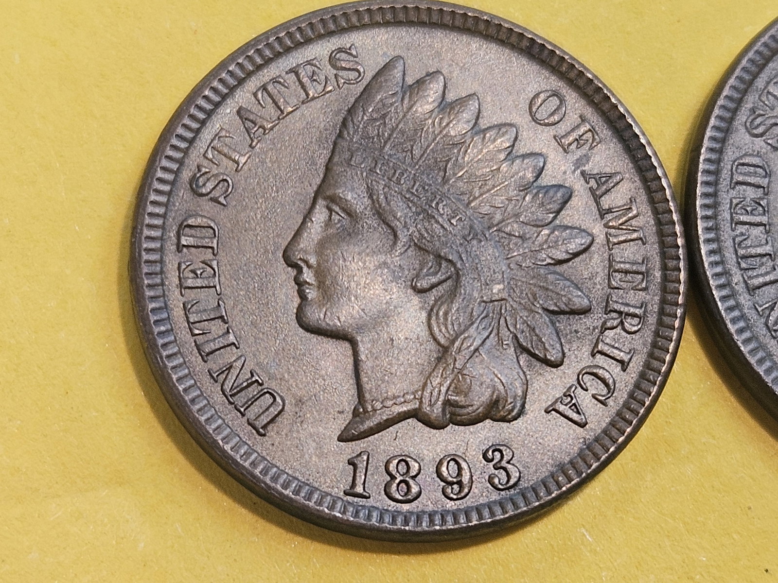 Two Very Choice Brown Unciruclated Indian Cents - 3