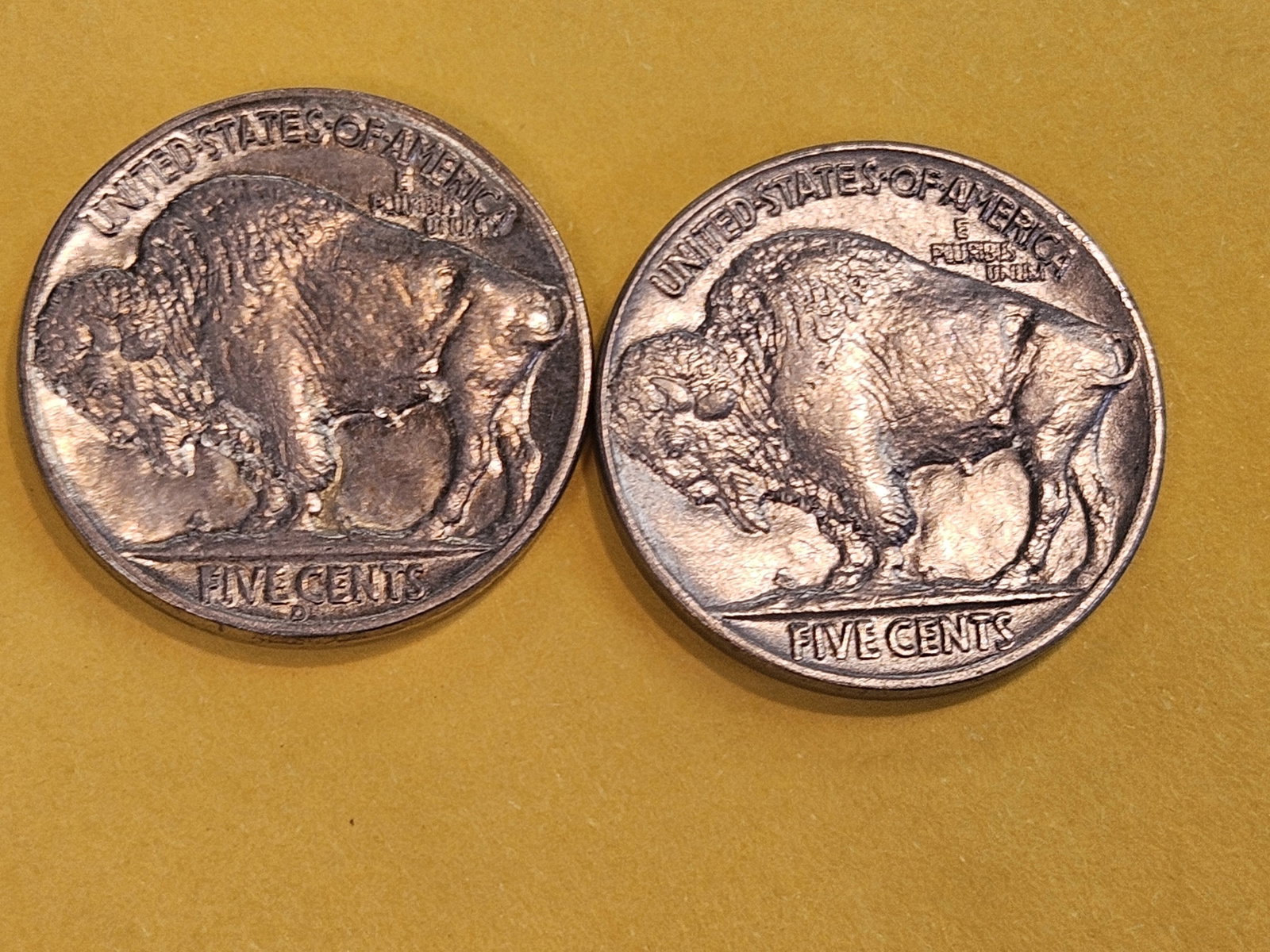 Two Very Choice Brilliant Uncirculated Buffalo Nickels - 4