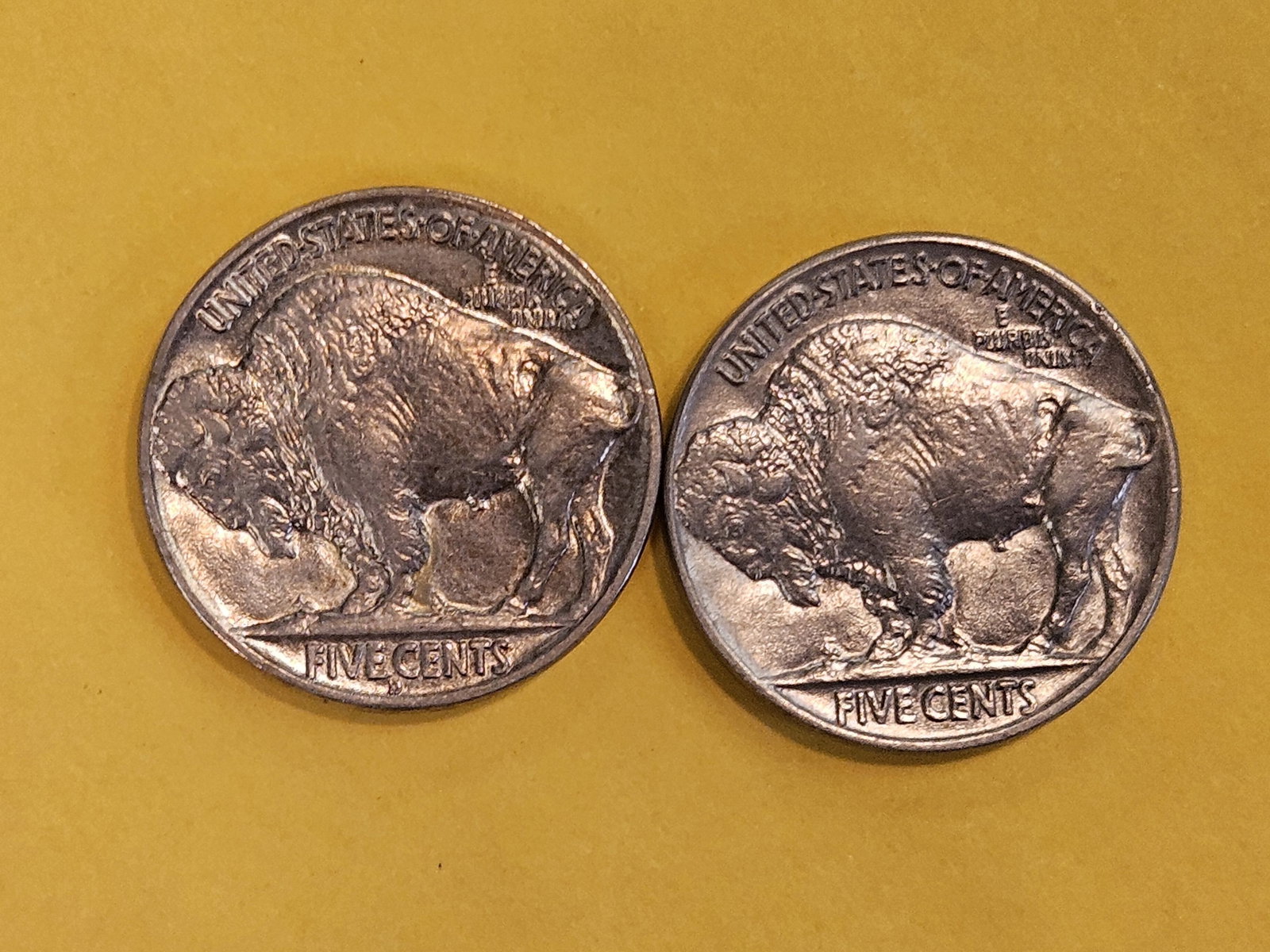 Two Very Choice Brilliant Uncirculated Buffalo Nickels - 5