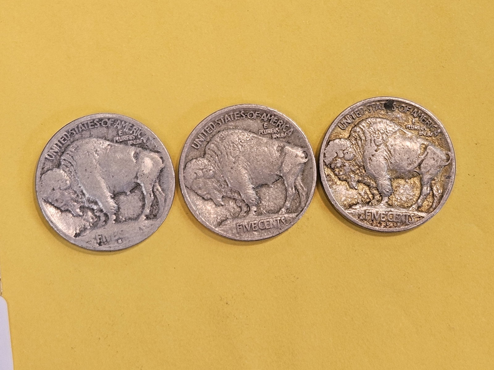 Three same-year Buffalo Nickel set in Good to Very Fine - 3
