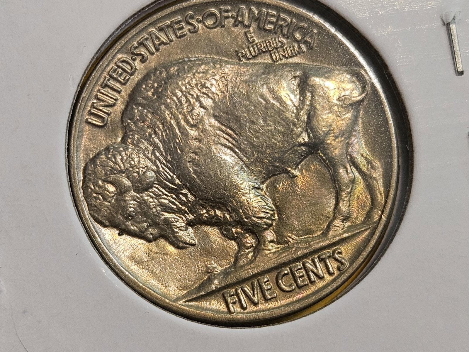 Very Choice to GEM Brilliant Uncirculated 1937 Buffalo Nickel - 3